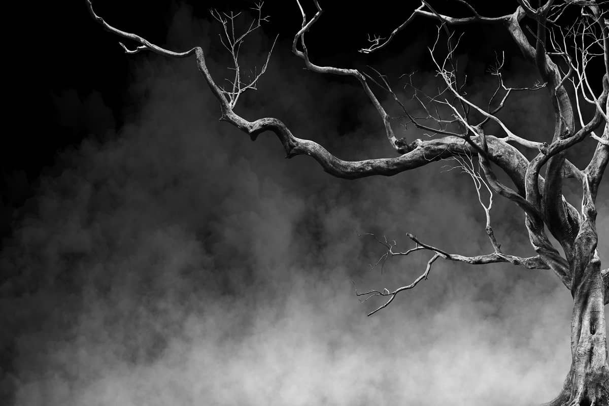 Real Life Ghost Stories