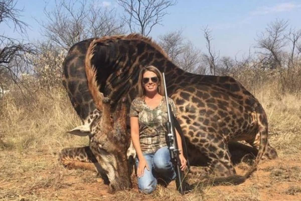 trophy hunting animals